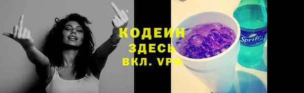 прущий лед Алзамай