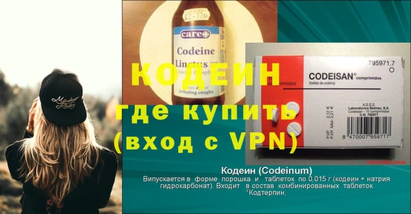 прущий лед Алзамай