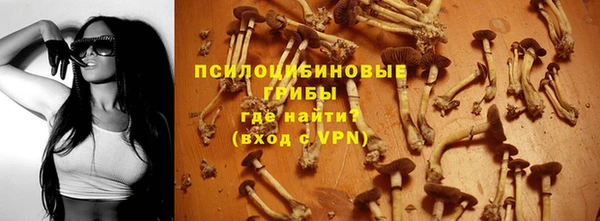 синтетический гашиш Алексин