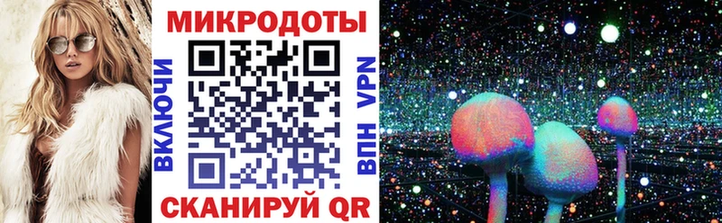 Псилоцибиновые грибы Psilocybe сайты даркнета наркотические препараты Закаменск