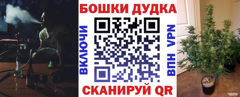 купить наркотики сайты  Закаменск  Конопля сатива 